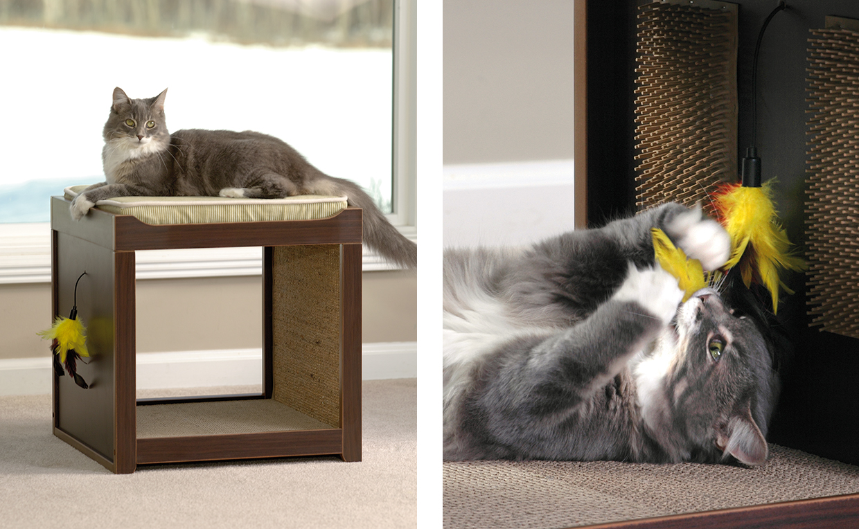 Modern cat furniture, living room, cat toys