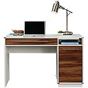 Modern Home Computer Desk with Storage 425845
