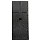 2-Door Storage Cabinet with Shelves in Black 433933