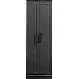 2-Door Storage Cabinet in Raven Oak 436839