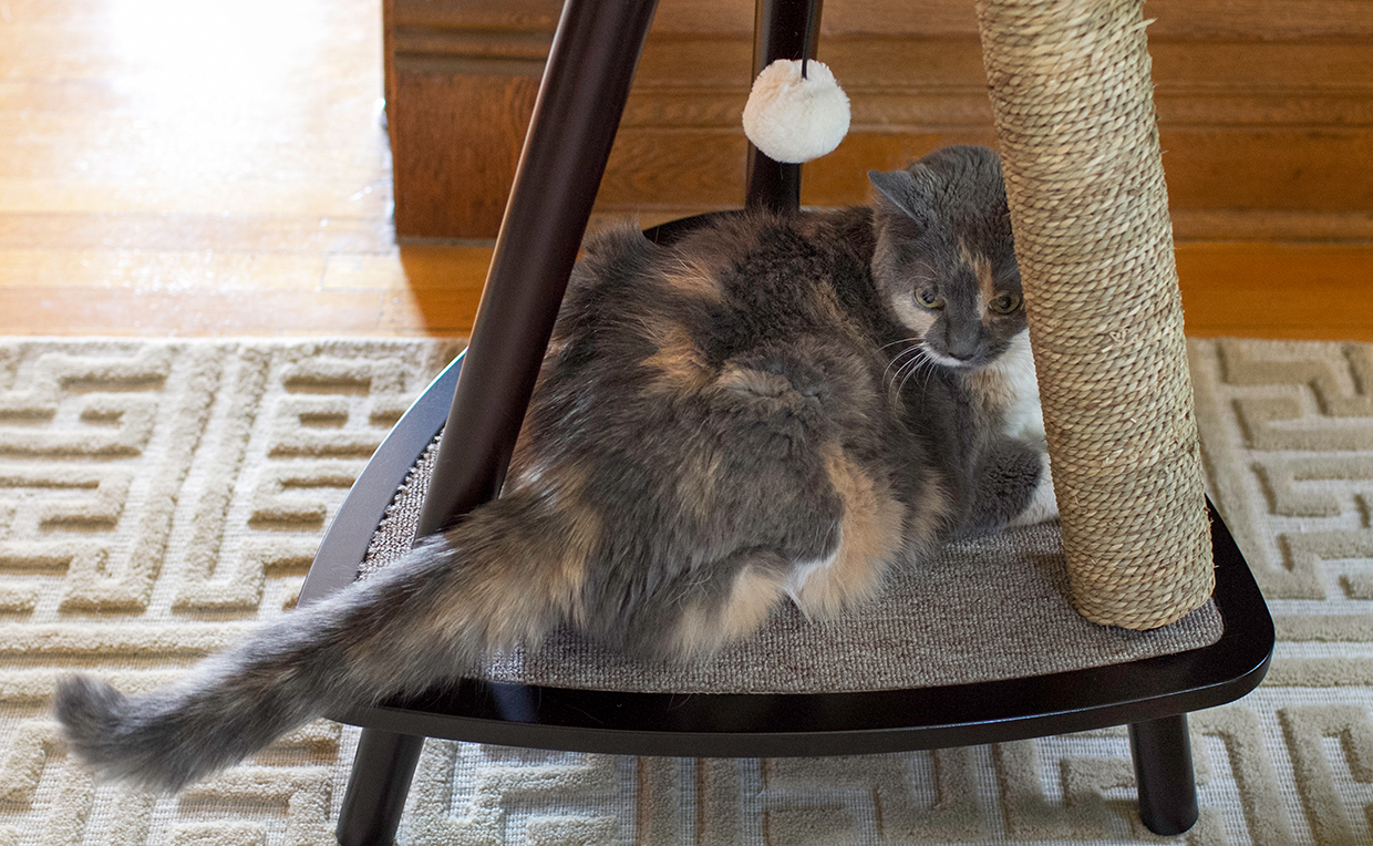 Sharing your space with your furry loved ones ideas from Sauder
