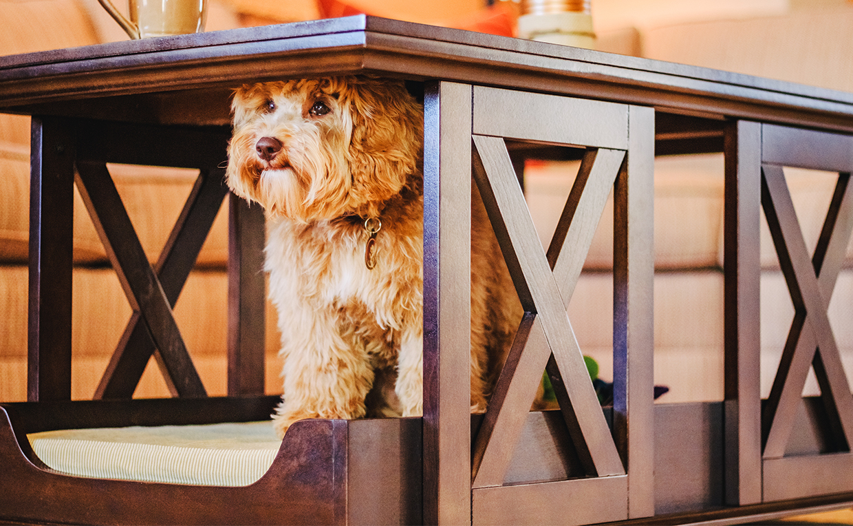 Sharing your space with your furry loved ones ideas from Sauder