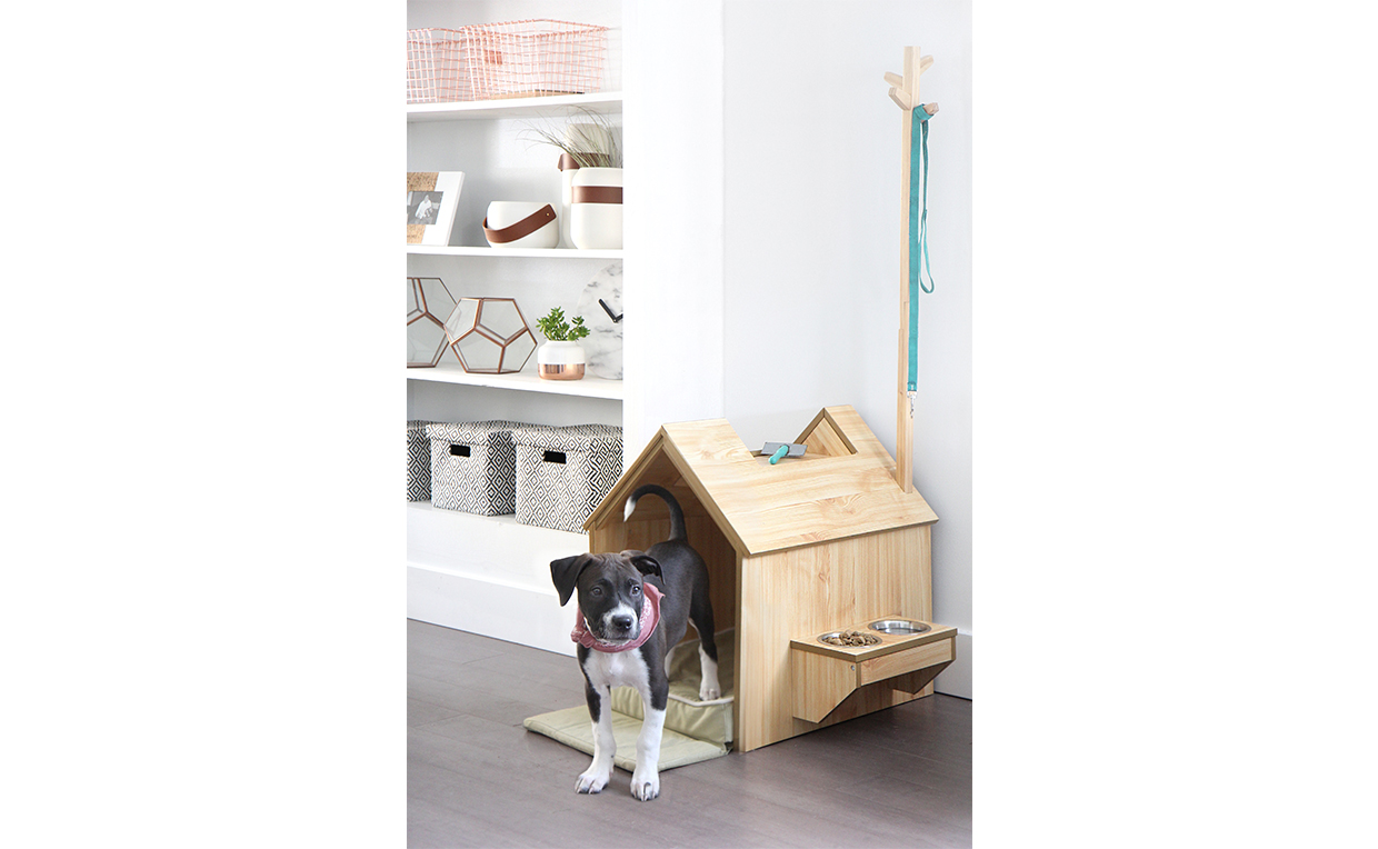 Puppy, dog house, entryway, pet, dog leash
