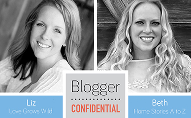 Blogger Confidential Liz and Beth