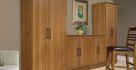 Sauder HomePlus Storage Cabinet, 1 - Harris Teeter