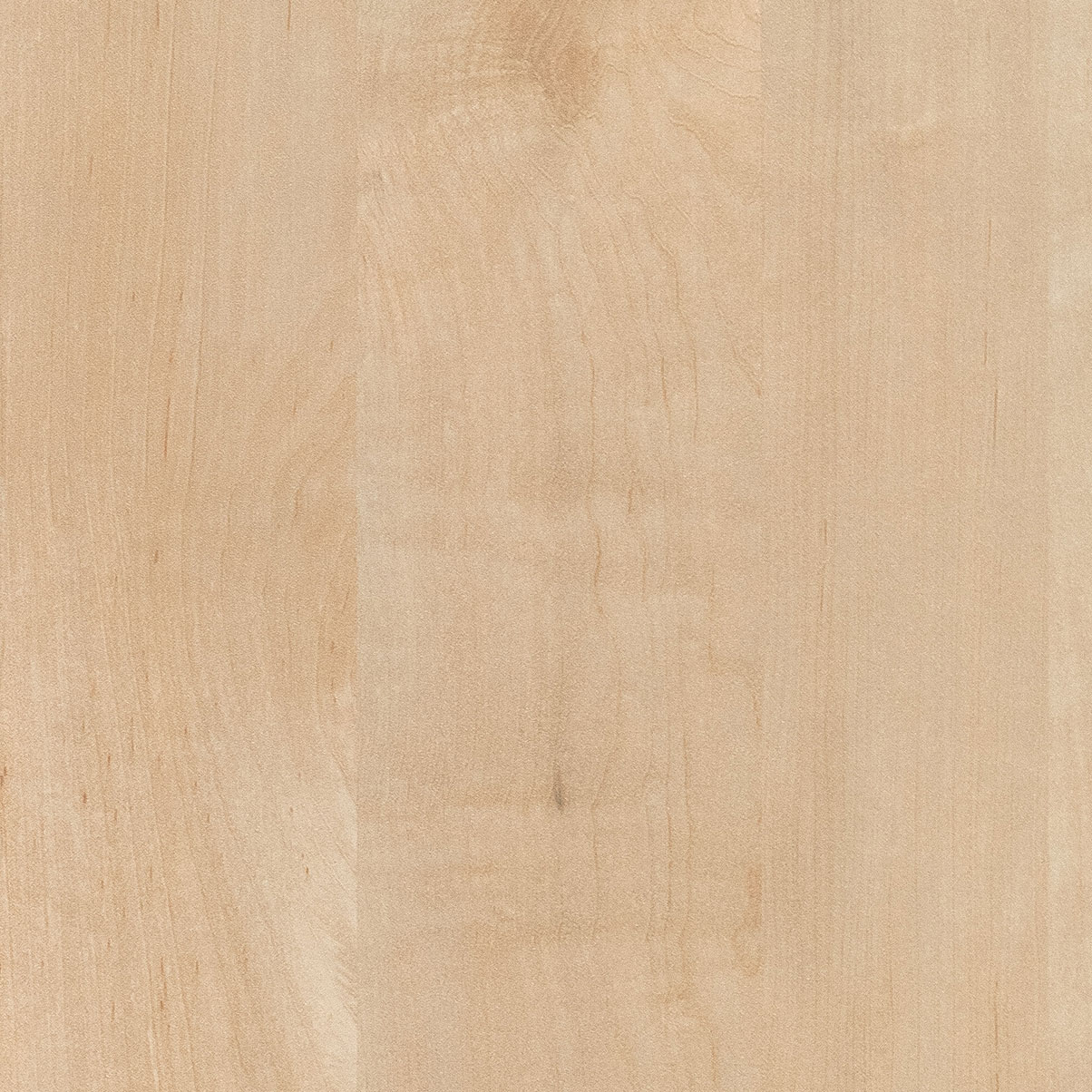 Natural Maple