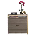 Lateral File 423301