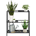 Plant Stand 423677