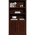 Bookcase With Doors 426415