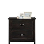 2-Drawer Lateral File Cabinet in Estate Black 427719