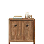 2-Door Base Cabinet in Sindoori Mango 429515