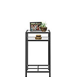 Contemporary Glass Side Table in Black 429542