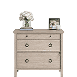 2-Drawer Lateral File Cabinet in Cascade Oak 430304