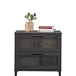 2-Drawer Lateral File Cabinet in Raven Oak 433269