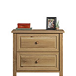 SAUDER Dixon City 2-Drawer Brushed Oak 29 in. H x 32 in. W x 20 in. D  Engineered Wood Lateral File Cabinet 431453 - The Home Depot