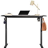 60" x 27" Electric Standing Desk in Black 443743
