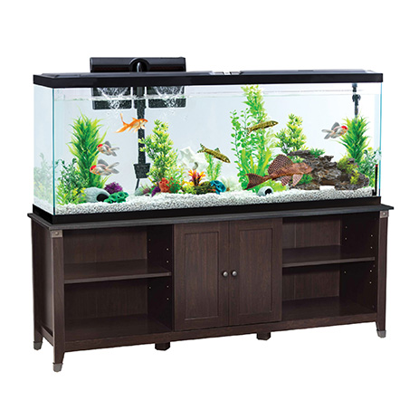 fish tank display units for sale