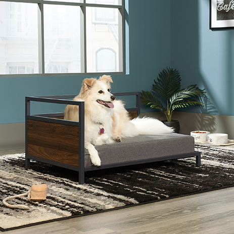 corner dog bed
