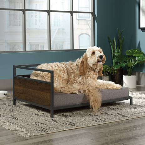 corner dog bed