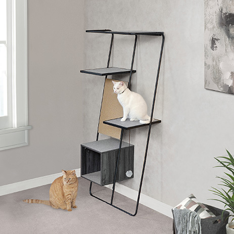 cat ladder