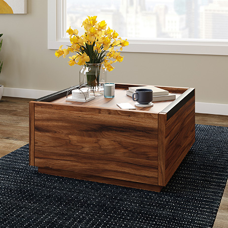 Coffee Table 430359