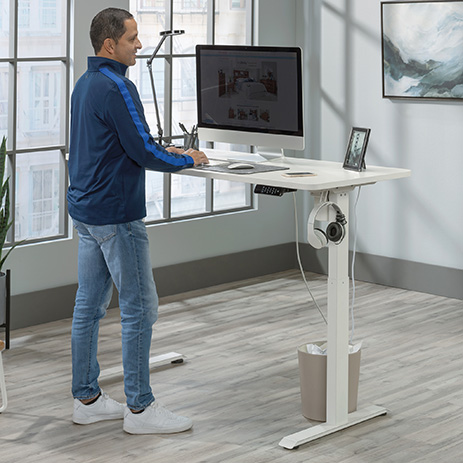 Sit/Stand Desk 431985