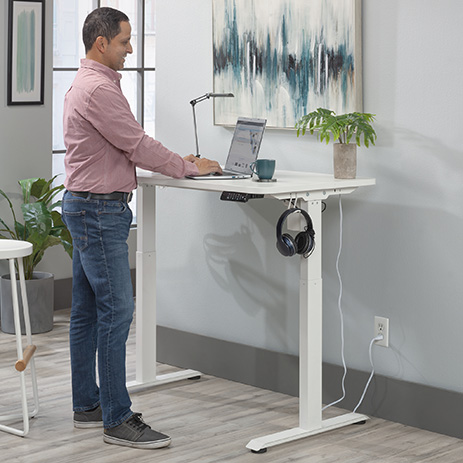 Sit/Stand Desk 433781