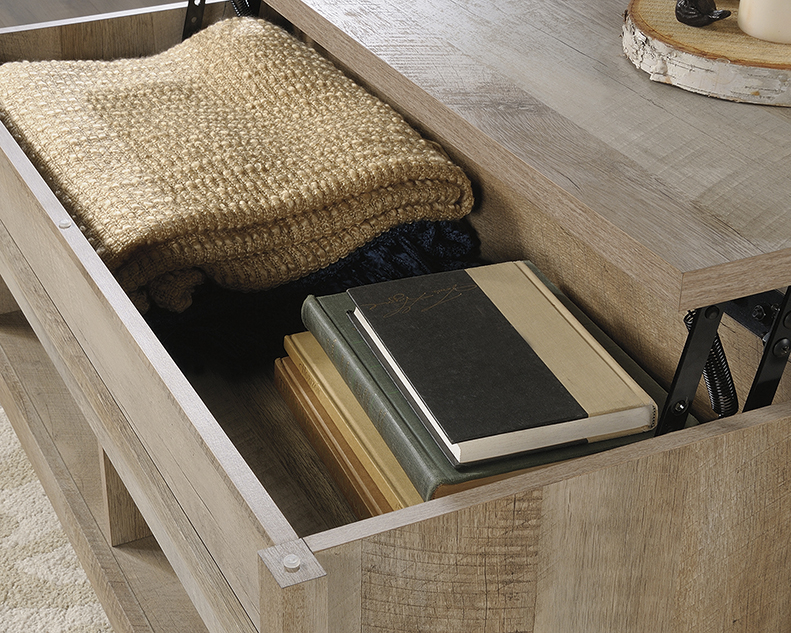Chantrell lift top coffee table with storage discount