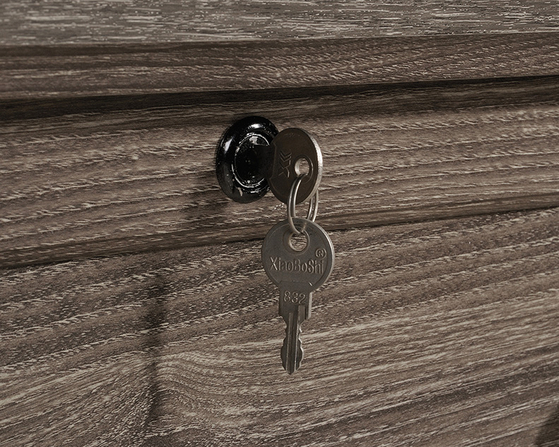 Hammond 2-Drawer Lateral File Cabinet Emery Oak (423528) – Sauder