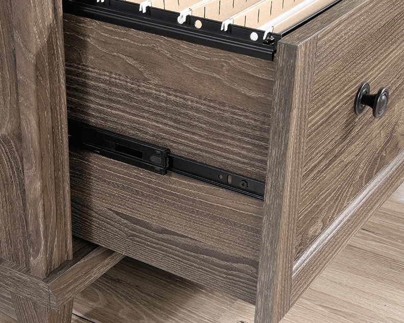 Hammond 2-Drawer Lateral File Cabinet Emery Oak (423528) – Sauder