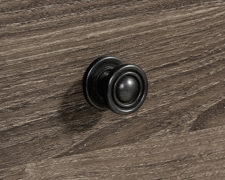 Hammond 2-Drawer Lateral File Cabinet Emery Oak (423528) – Sauder