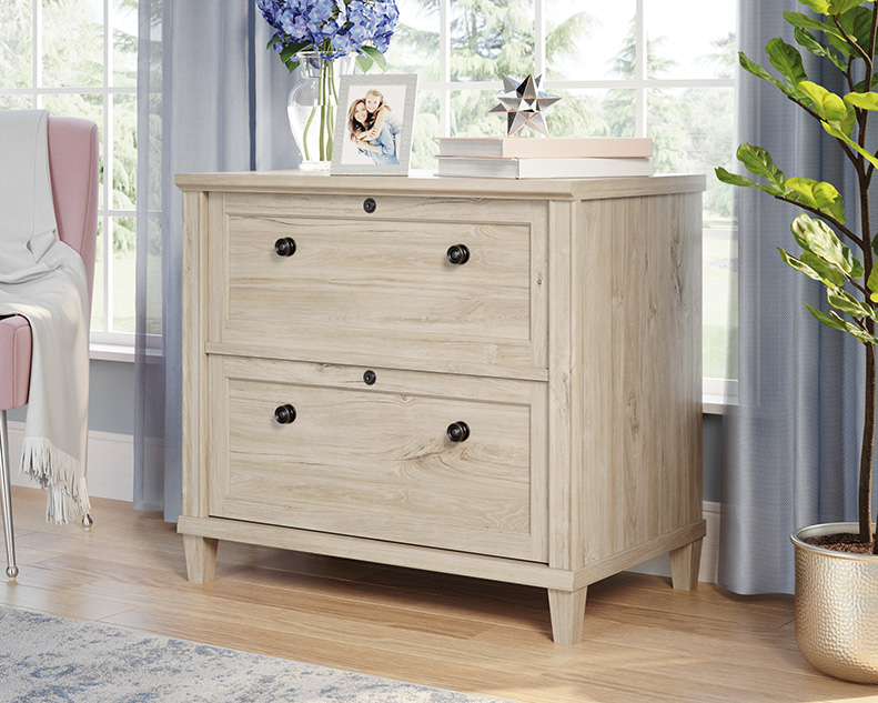 Hammond 2-Drawer Lateral File Cabinet Emery Oak (423528) – Sauder